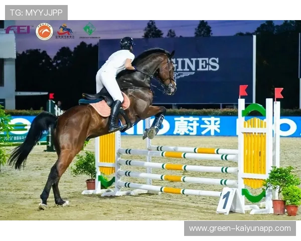 泰国马术协会与欧洲马术协会签署合作协议，共同举办国际赛事。