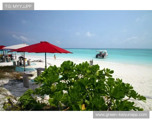 “2025世界运动会：沙滩合球给沙滩带来全新风景”